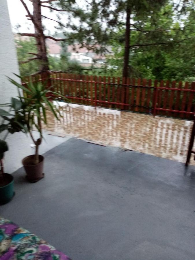 Family Apartman Ana - Star Golubac Bagian luar foto
