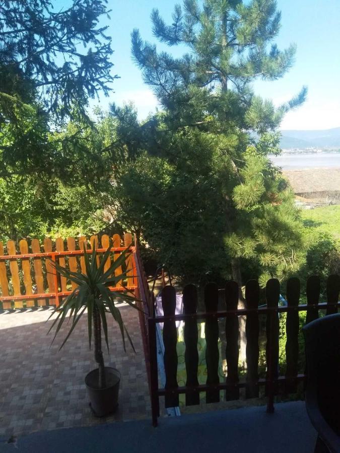 Family Apartman Ana - Star Golubac Bagian luar foto