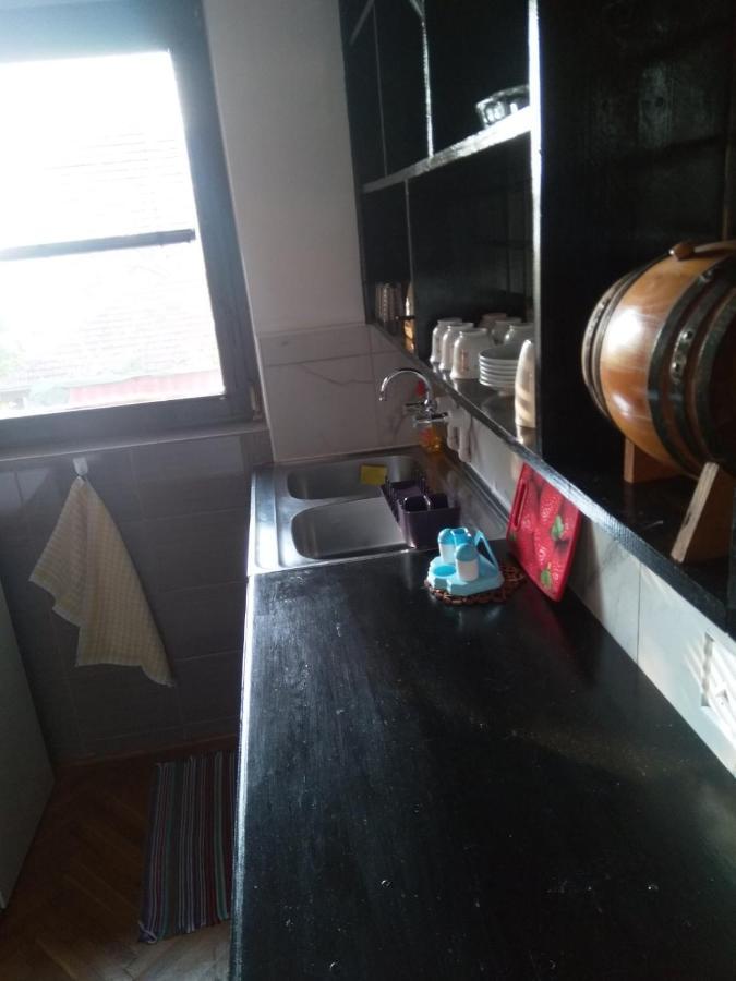 Family Apartman Ana - Star Golubac Bagian luar foto