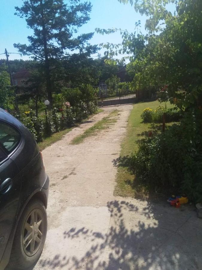 Family Apartman Ana - Star Golubac Bagian luar foto