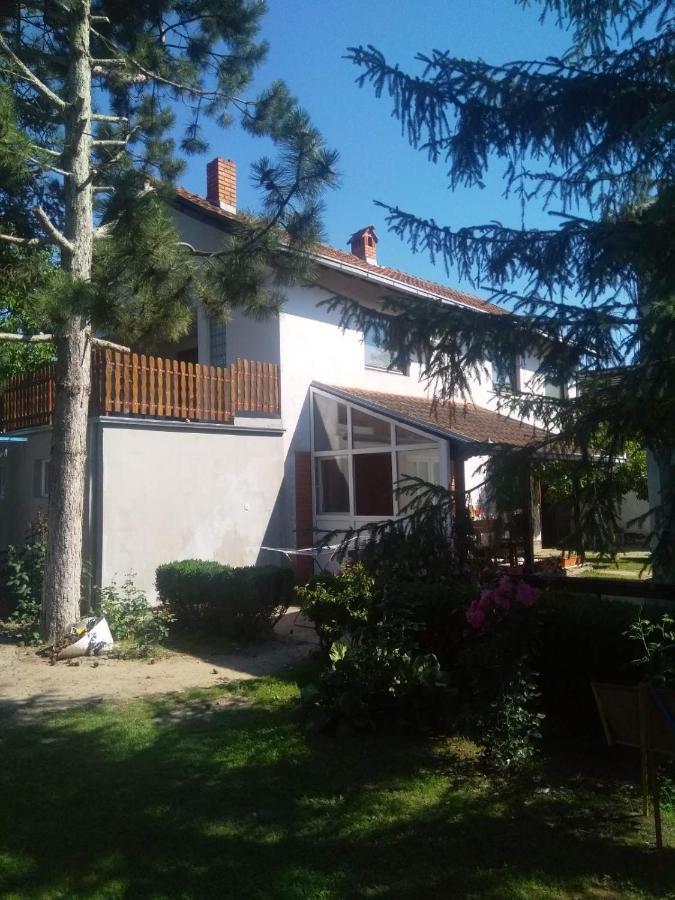 Family Apartman Ana - Star Golubac Bagian luar foto