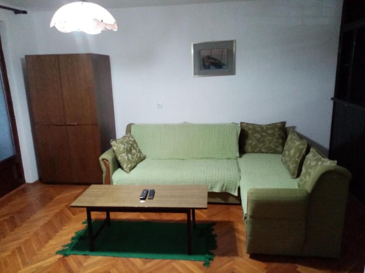 Family Apartman Ana - Star Golubac Bagian luar foto