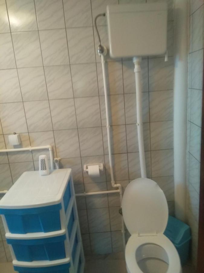Family Apartman Ana - Star Golubac Bagian luar foto
