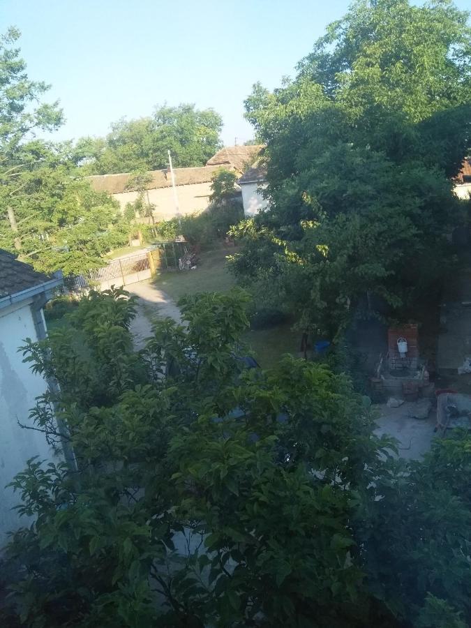 Family Apartman Ana - Star Golubac Bagian luar foto
