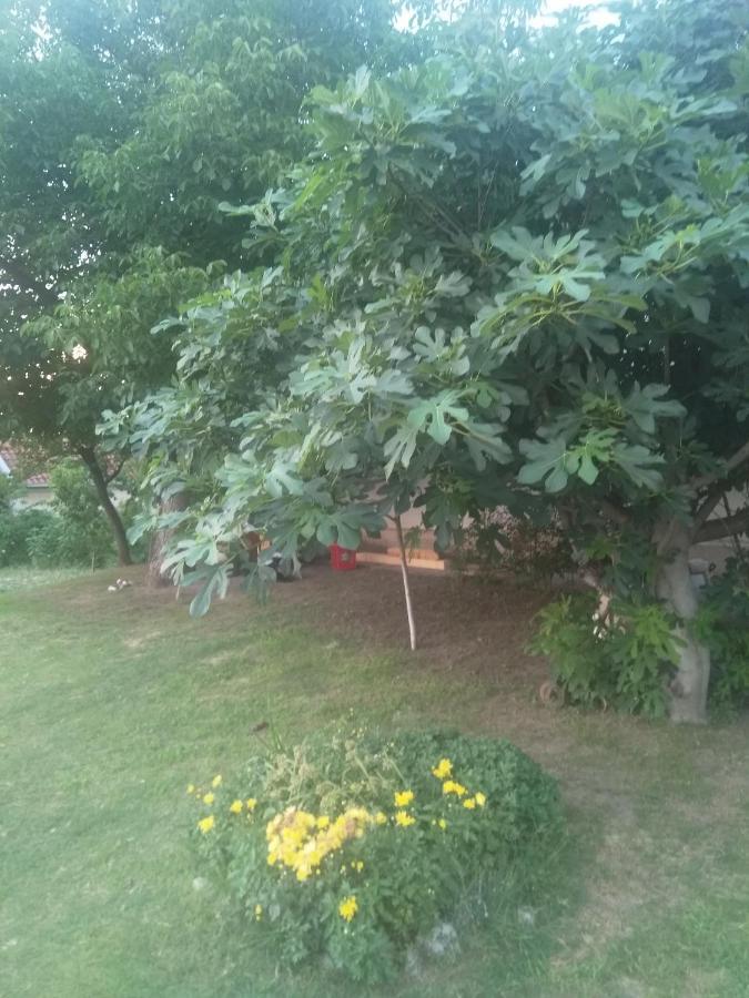 Family Apartman Ana - Star Golubac Bagian luar foto